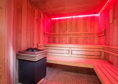 Domaine du Hirtz : Sauna