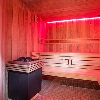 Sauna : Domaine du Hirtz