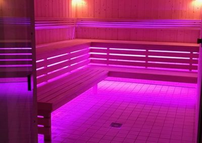 Le dôme de Vincennes : Sauna (1)